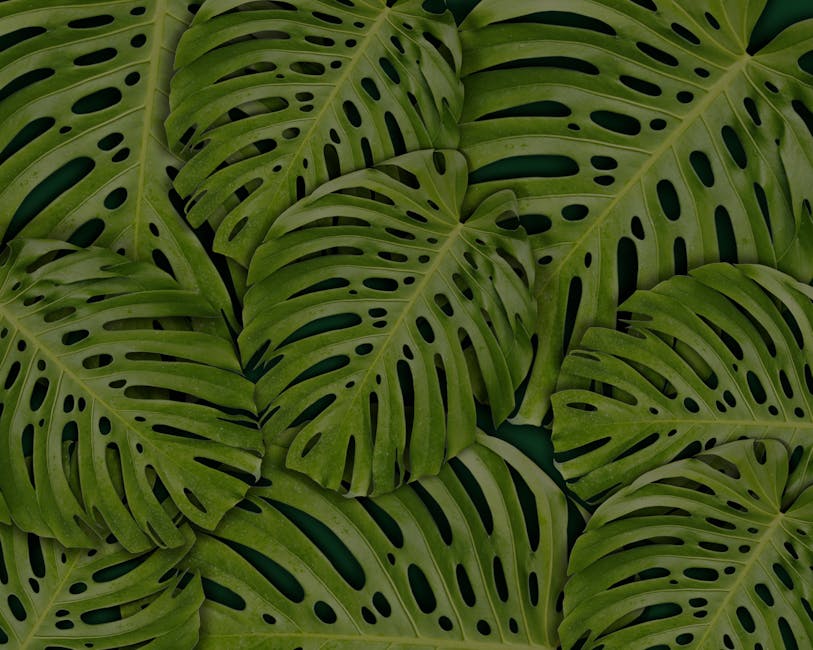 biophilic design