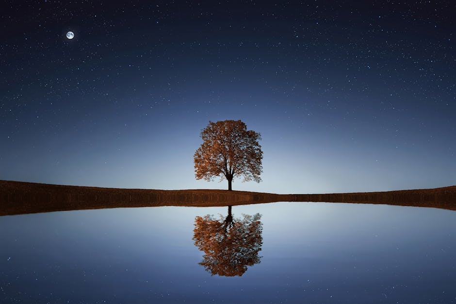 reflection