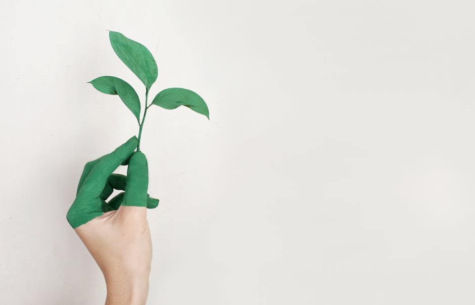 sustainable fashion